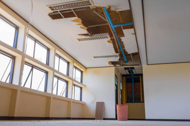 Best Fire Damage Restoration  in Dickson City, PA