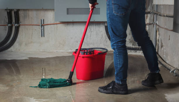 Best Flood damage cleanup  in Dickson City, PA