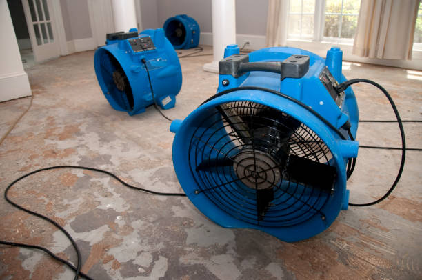Best Commercial water damage restoration  in Dickson City, PA